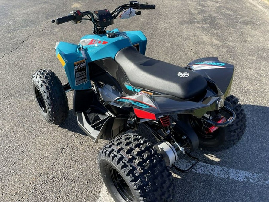 2024 Can-Am Renegade 110 EFI