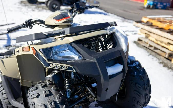 2022 Arctic Cat® Alterra 90