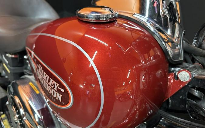 2007 Harley-Davidson® FXDL - Dyna® Low Rider