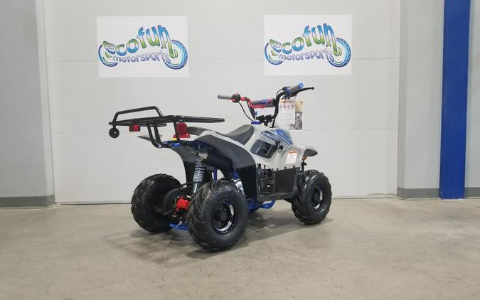 2025 Tao Motor Blue Scout 110 Youth ATV