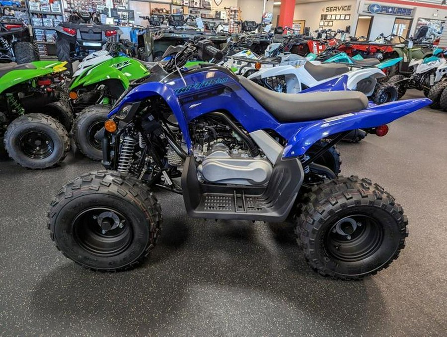 2024 Yamaha Raptor 110