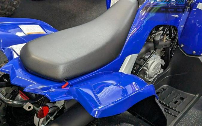 2024 Yamaha Raptor 110