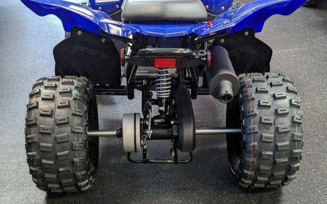 2024 Yamaha Raptor 110