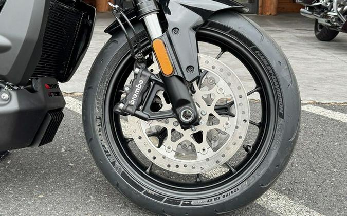 2025 Harley-Davidson RA1250ST - Pan America 1250 ST