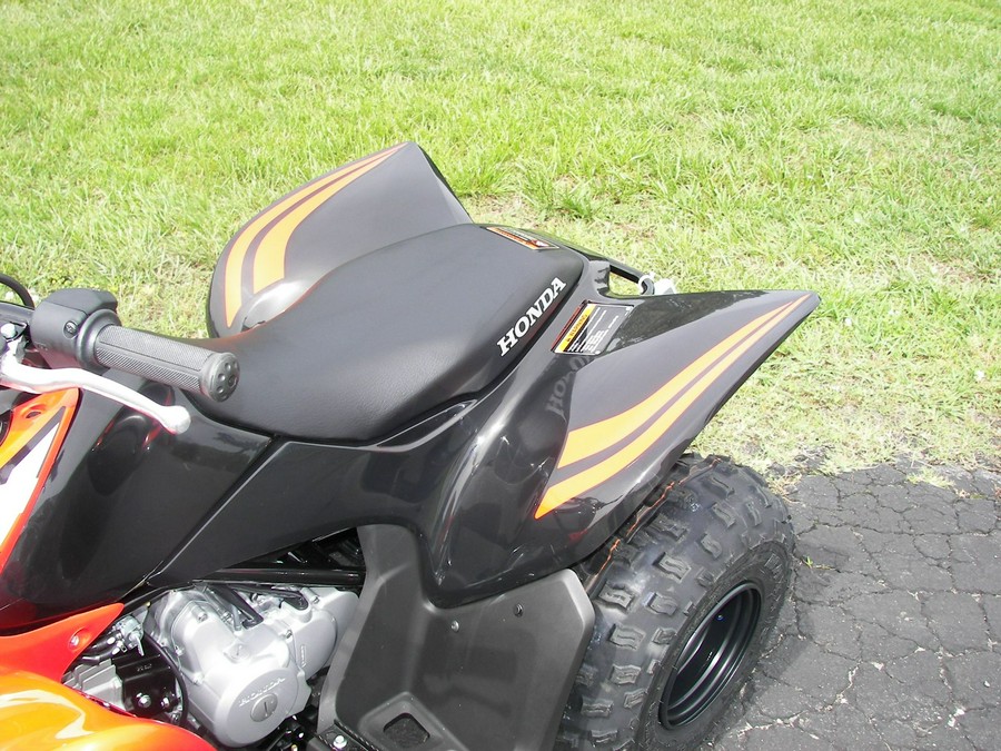 2024 Honda TRX90X