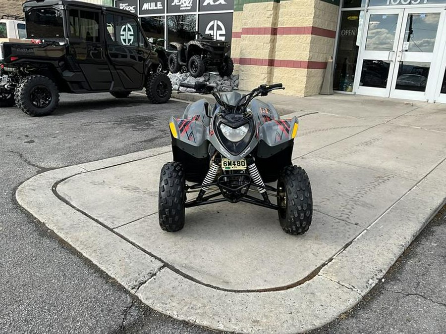 2020 Polaris® Phoenix® 200