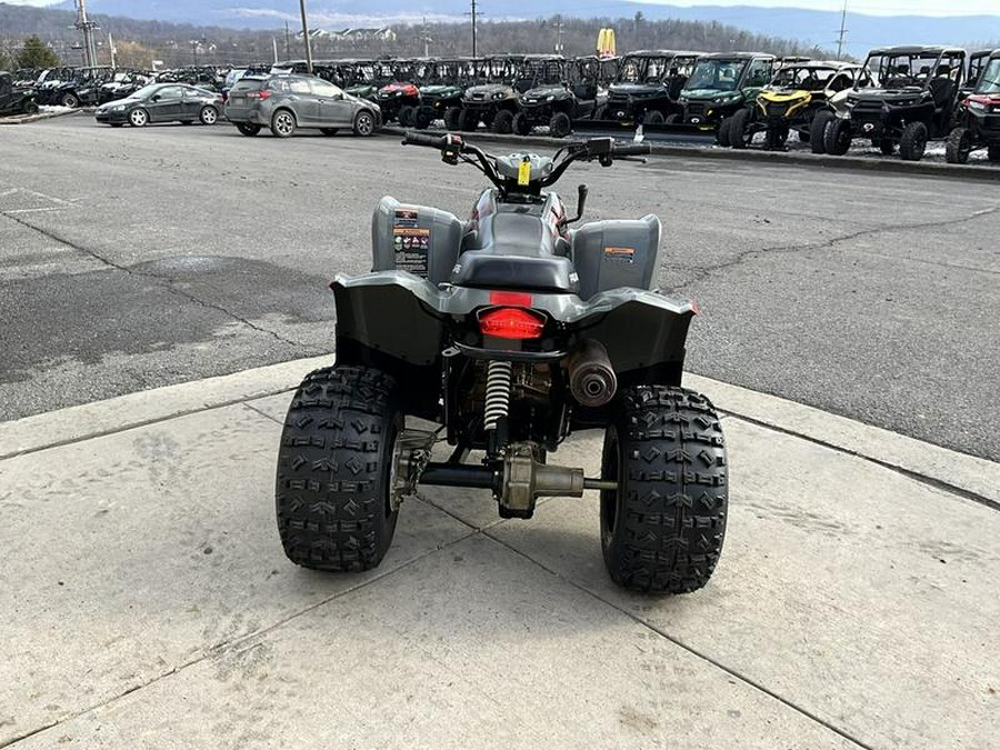 2020 Polaris® Phoenix® 200