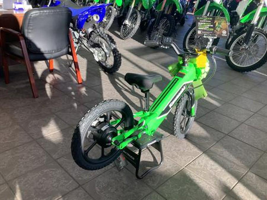 2023 Kawasaki Elektrode