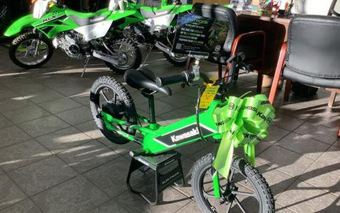 2023 Kawasaki Elektrode