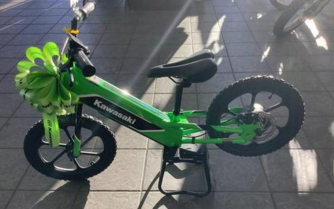 2023 Kawasaki Elektrode