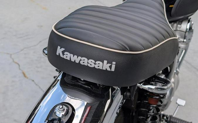 2025 Kawasaki W800 ABS