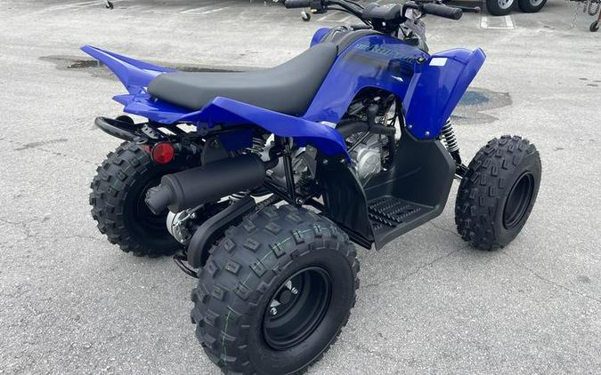 2024 Yamaha Raptor 110