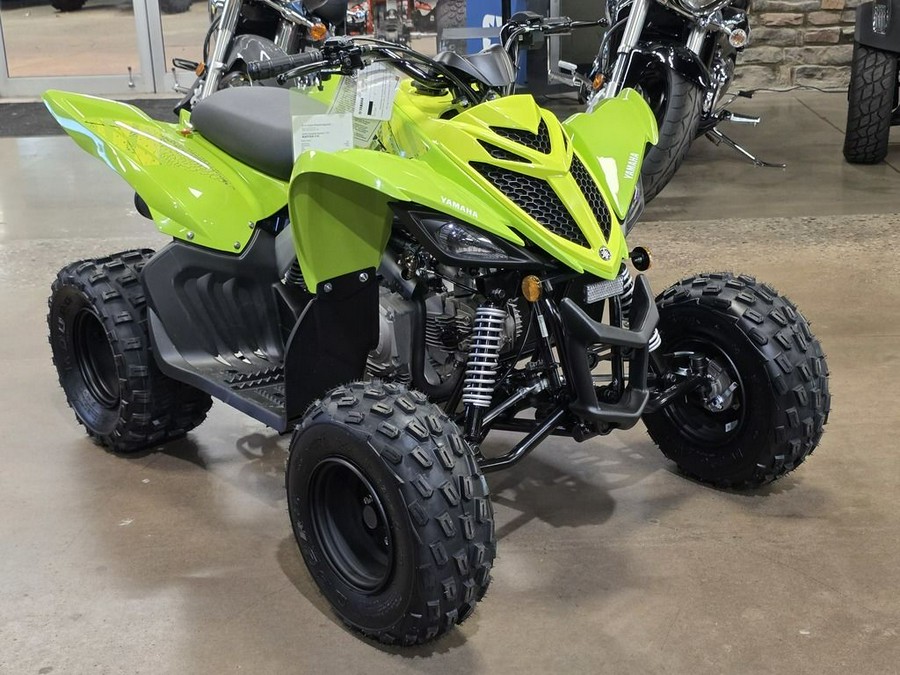 2026 Yamaha Raptor 110