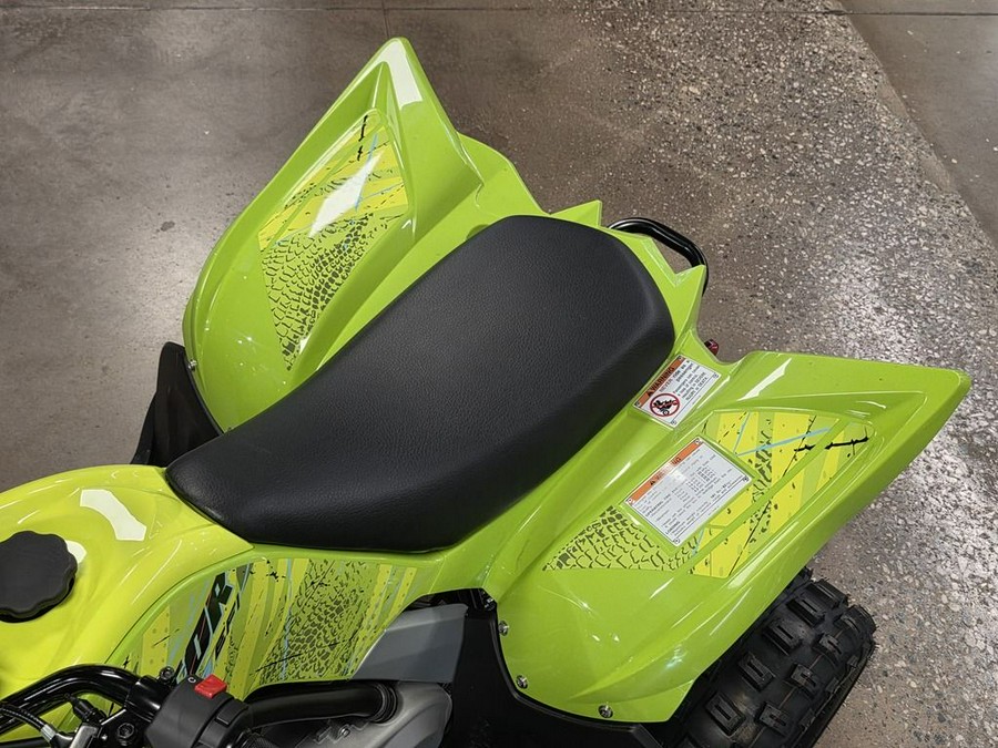 2026 Yamaha Raptor 110