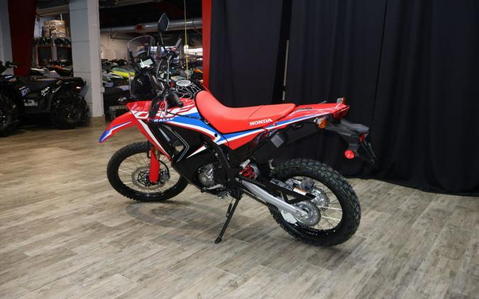 2024 Honda CRF 300L Rally