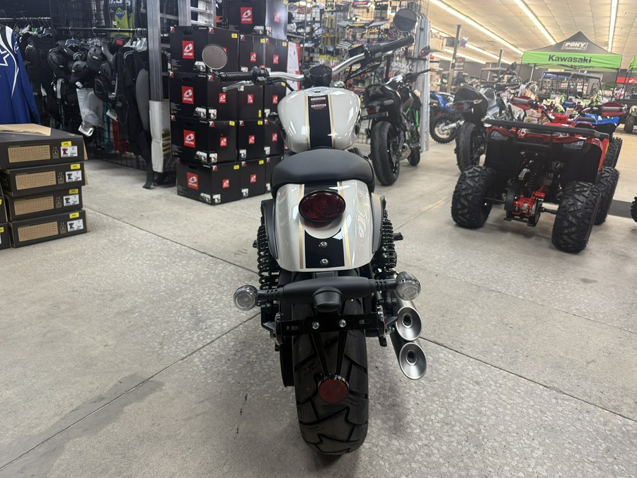 2025 Benda Chinchilla 300