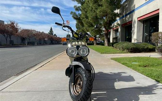 2024 Honda Ruckus