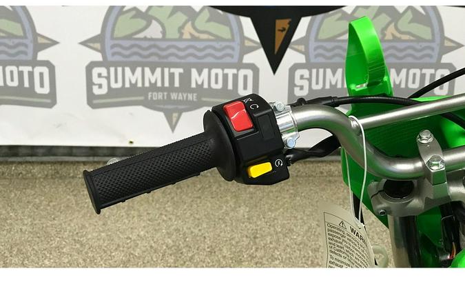 2025 Kawasaki KLX 110R L (KLX110DSFNN)