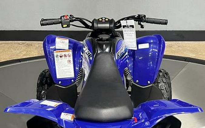 2026 Yamaha Raptor 110