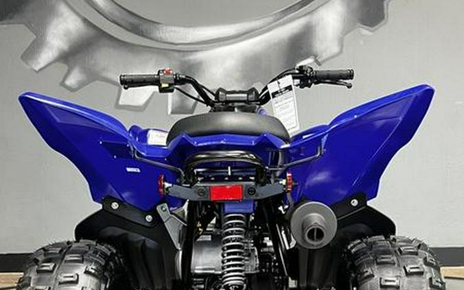 2026 Yamaha Raptor 110