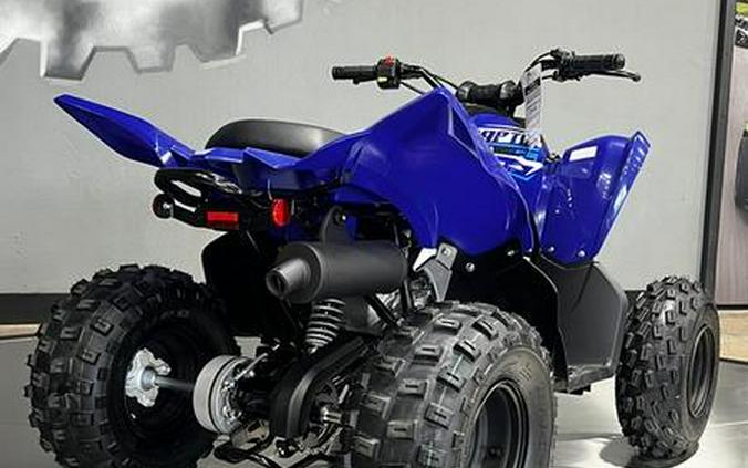 2026 Yamaha Raptor 110