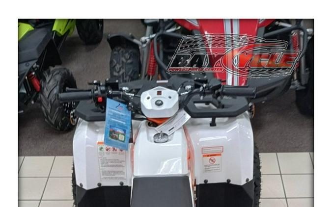 2026 Kayo Bull 110