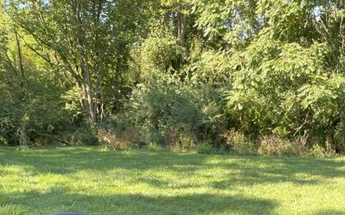 2025 Kubota Full-Size Diesel Utility Vehicles RTV-X