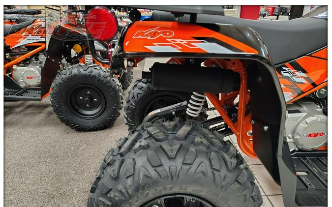2026 Kayo Bull 125 EFI