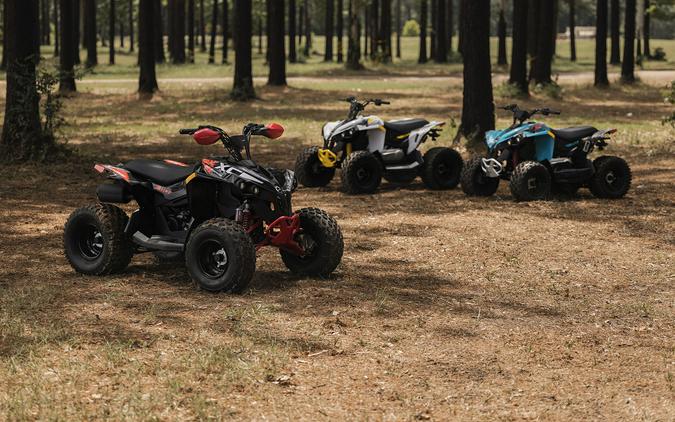 2026 Can-Am Renegade 110 EFI