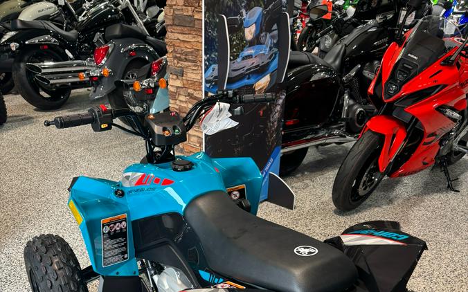 2026 Can-Am Renegade 110 EFI