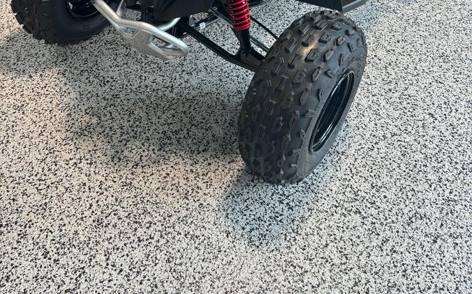 2026 Can-Am Renegade 110 EFI