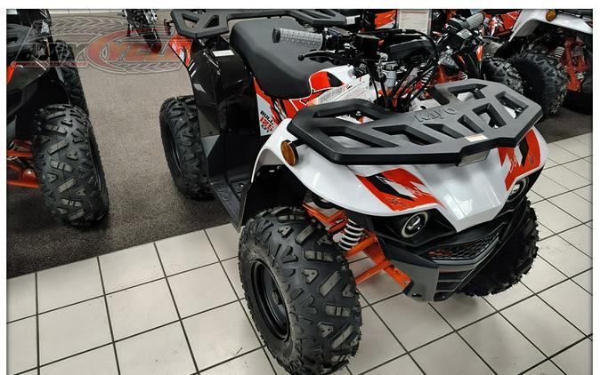 2026 Kayo Bull 125 EFI
