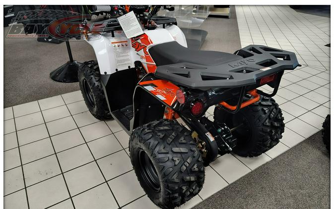 2026 Kayo Bull 125 EFI