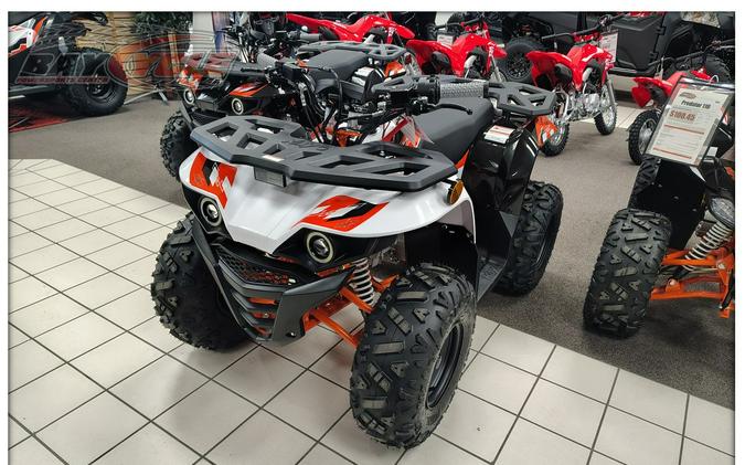 2026 Kayo Bull 125 EFI