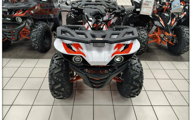 2026 Kayo Bull 125 EFI