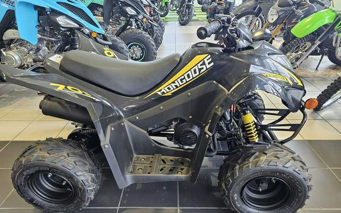 2021 KYMCO Mongoose 70 S