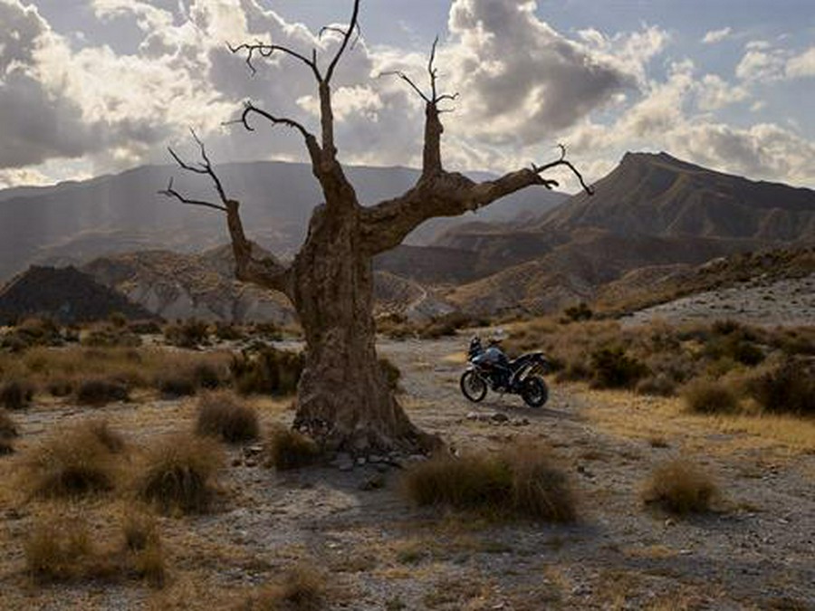 2026 Triumph Tiger 900 Desert Edition