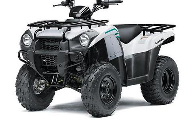 2023 Kawasaki Brute Force 300