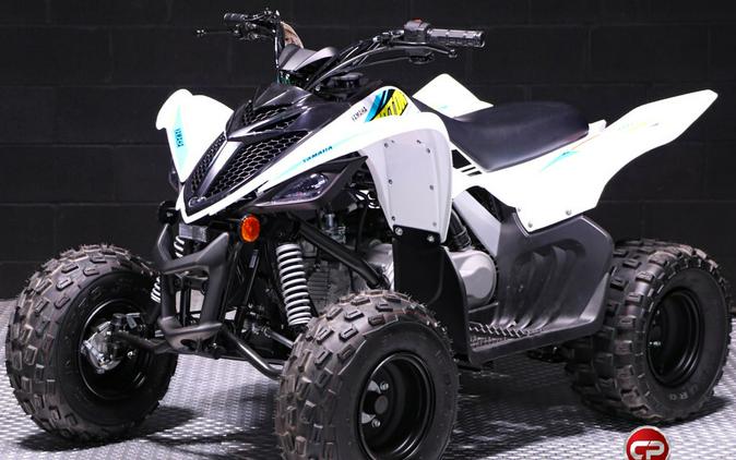 2022 Yamaha Raptor 90