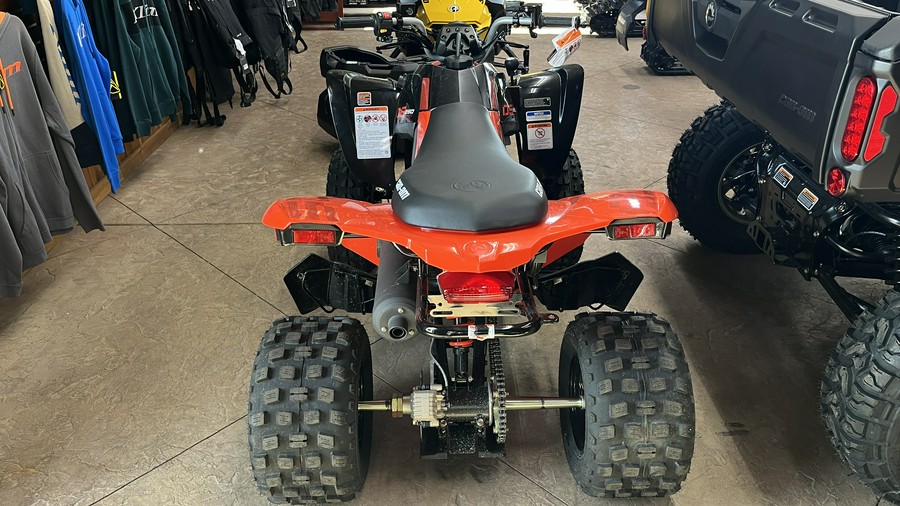 2025 Can-Am DS 250
