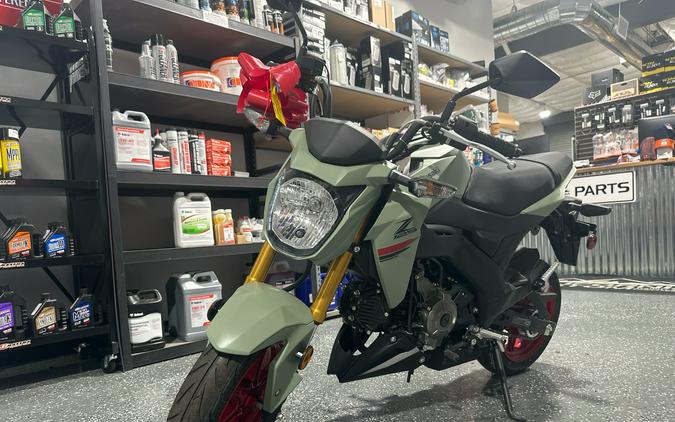 2023 Kawasaki Z125 Pro