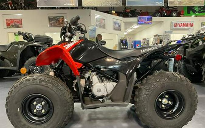 2024 Honda TRX90X