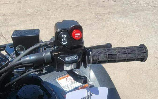 2026 Honda® FourTrax Foreman Rubicon 4x4 Automatic DCT EPS Deluxe