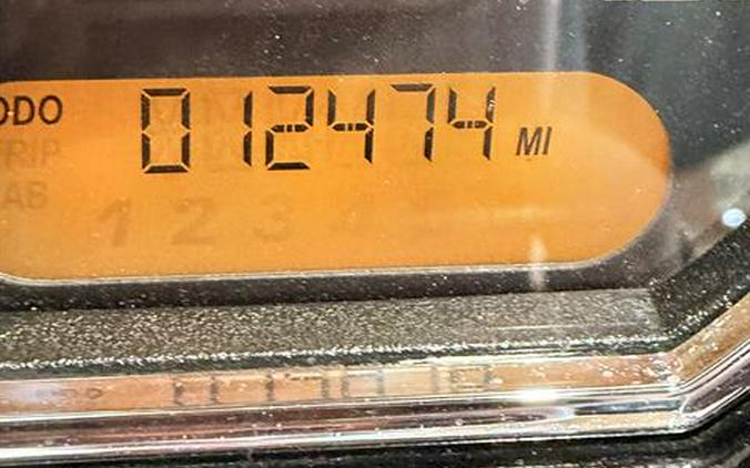 2020 Harley-Davidson Road Glide® Special