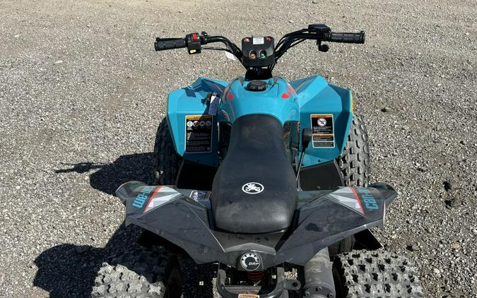 2026 Can-Am Renegade 110 EFI
