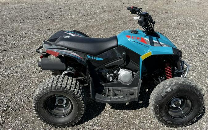 2026 Can-Am Renegade 110 EFI