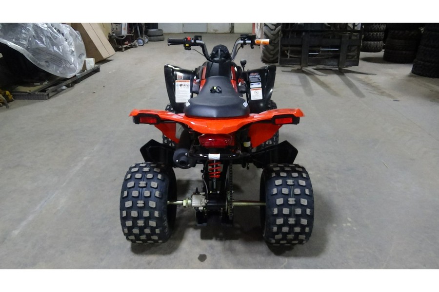 2025 Can-Am ATV DS 2X5 250-4ST