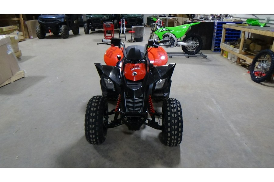 2025 Can-Am ATV DS 2X5 250-4ST