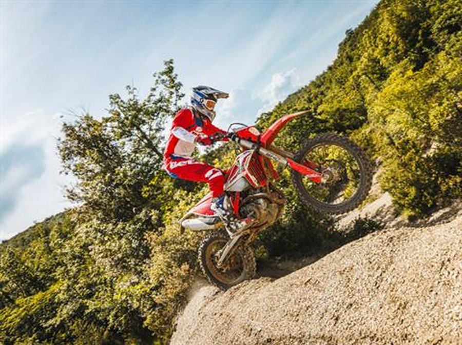 2025 Beta 390 RR X-Pro