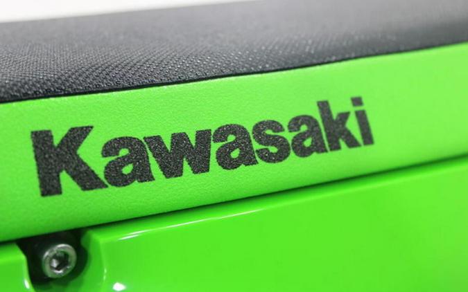 2026 Kawasaki KLX 300R